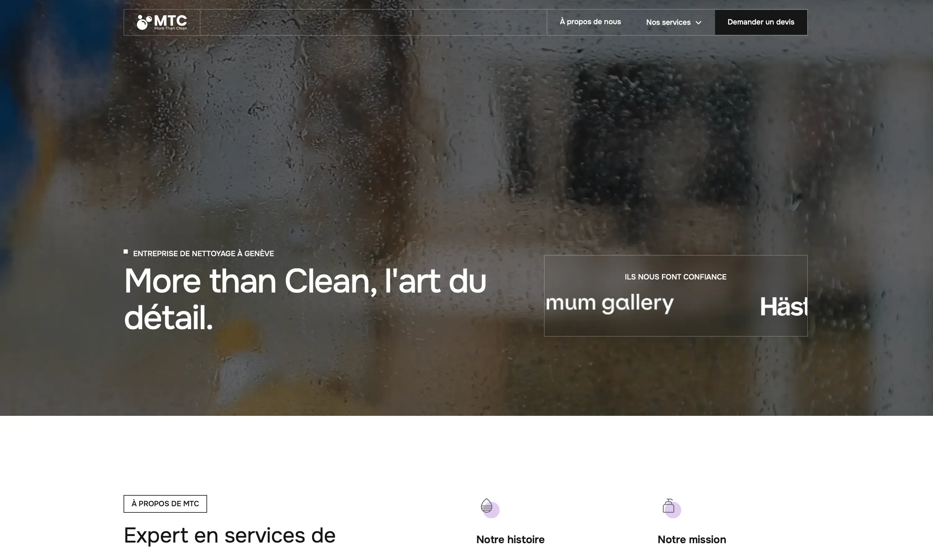 www.morethanclean.ch — screenshot